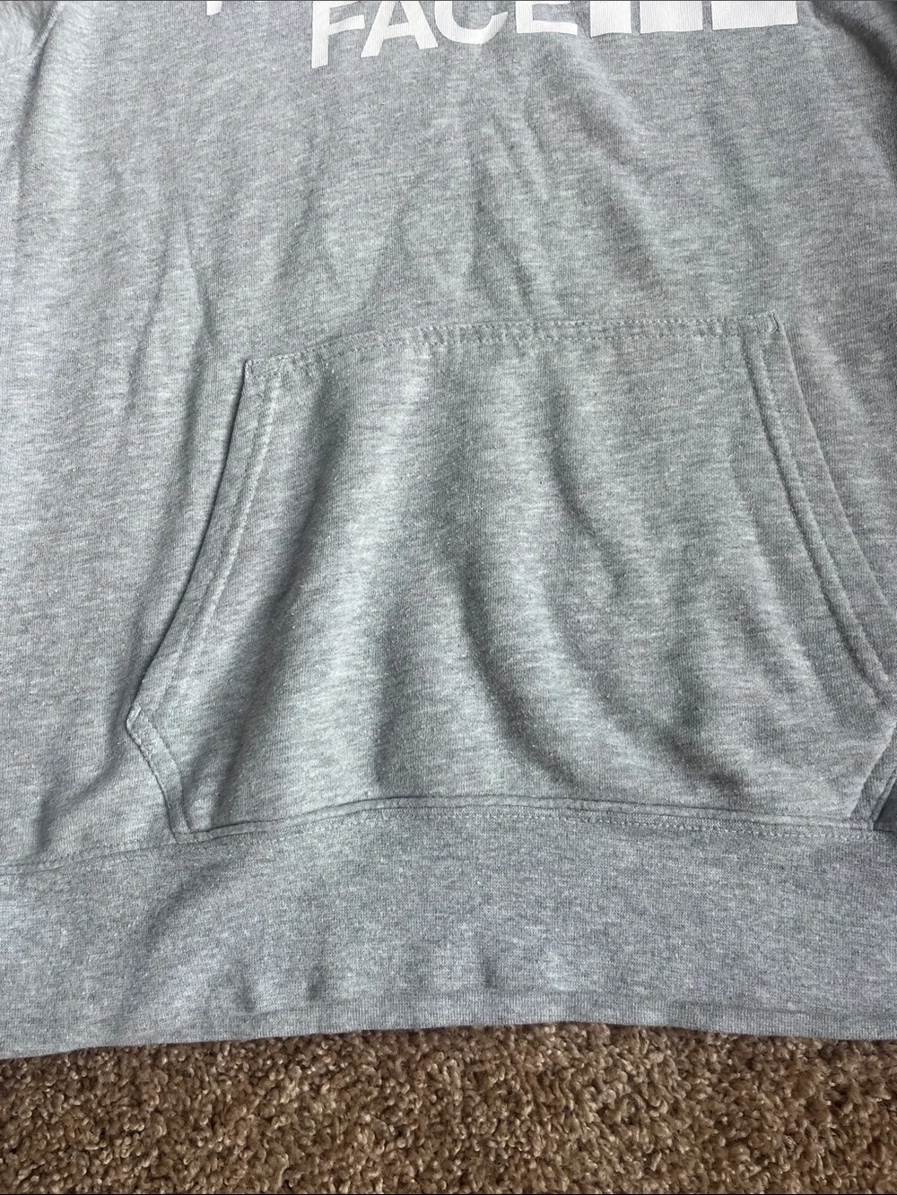 The North Face Men's Light Gray Logo Hoodie